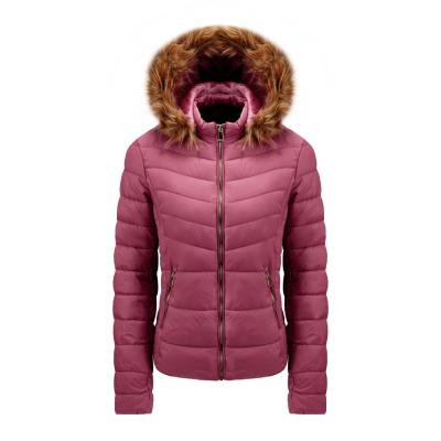 China Waterproof Durable Using Low Price Women Winter Fashion Jacket Womens Low Coat Hat for sale