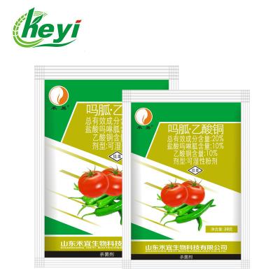 China CAS 6046-93-1 Moroxydine Hydrochloride 10% Copper Acetate 10% Wp Cucumber Fungicide for sale