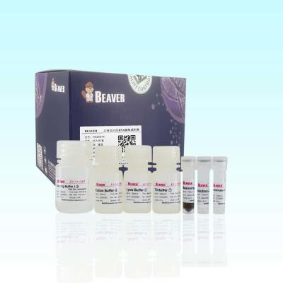 China Hoher Reinheitsgrad DNA BeaverBeads-Blut DNA-Kit For Extract zu verkaufen