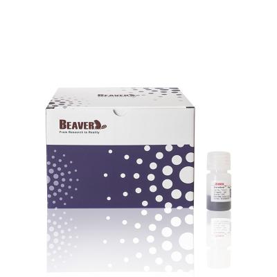 China Fe3O4 Polymer Carboxyl Magbeads Immunodiagnosis Magbeads 2μm 10 mg / mL 5 mL for sale