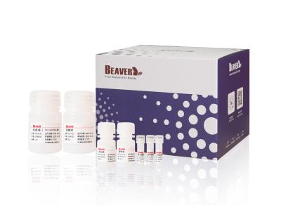 China BeaverBeads™ Nucleic Acid Extraction And Purification Kit Magnetic Bead Method For Extraction for sale
