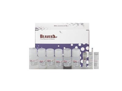China BeaverBeads Plasmid Kit Ultimate Solution for Nucleic Acid Extraction and Purification Needs for sale