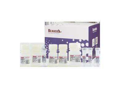 China BeaverBeads Wastewater Nucleic Acid Kit Extraction Environment Test for sale
