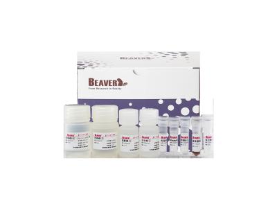 China BeaverBeads™ Nucleic Acid Extraction Kit Plant DNA Kit Gene Breeding for sale
