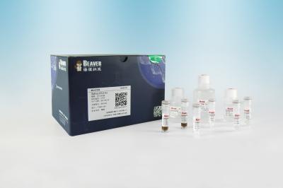China BeaverBeads Saliva DNA Extraction Kit Genetic Test for sale