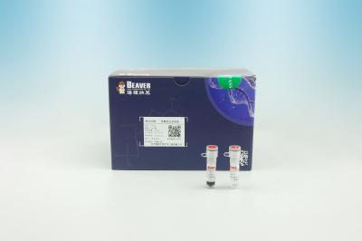 China BeaverBeads™ DNA Select Isolation NGS Purification PCR Purification Super Paramagnetic Beads Kit for sale