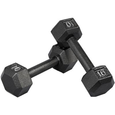 China Good Quality Comfortable Dumbbell 5lb 8lb Dumbbell Women Customized Dumbbell Set Equipment For Gym for sale