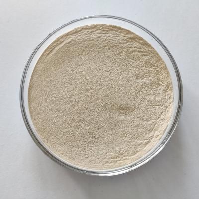 Chine Enzymes composées d'alimentation animale NSPase pour la nutrition de bétail et de volaille à vendre