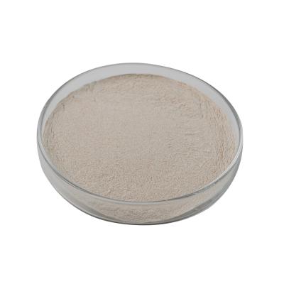 China Animal Feed Grade Amylase: Premium Enzyme for Poultry & Livestock for sale