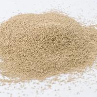 中国 企業の等級のプロテアーゼの酵素の洗剤は衣類のための多酵素を粉にする 販売のため