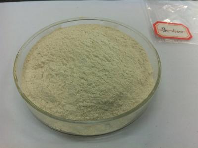 Chine enzyme de pectinase de catégorie de l'alimentation 30000U pour le bétail alimentation et prémélange à vendre
