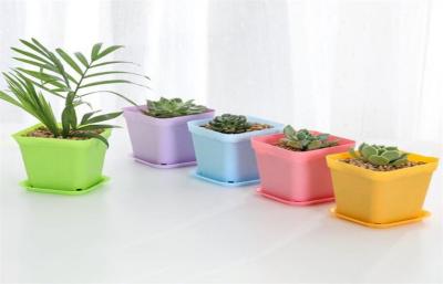 Chine Pots de fleur ronds non fragiles de résine du potager pp 9x6x8cm à vendre