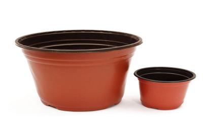 Chine Pots en plastique d'usine de place de fleur à vendre