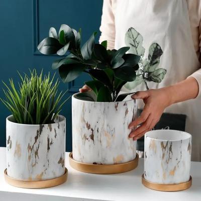 China Marbling Appearance Ceramic Flower Pots Succulent Planter Green Plants Pot Cylindrical Shape FlowerPot With Hole Golden for sale