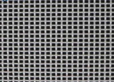 China 0.72*0.72mm White Polyester Linear Screen Cloth For Food Drying for sale