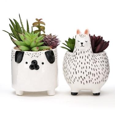 China Potes de flores de animales Potes de plantas suculentas Plantas de propagación de plantas personalizadas Plantador Plantador cerámico en venta