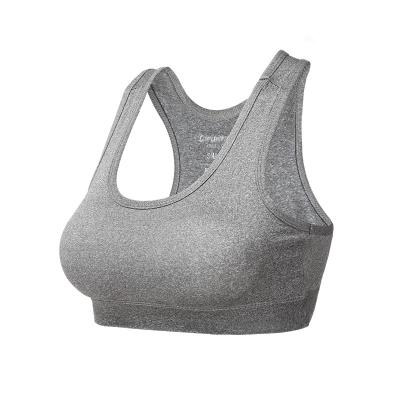 China QUICK DRY Women's 3 Pack Medium Support Cross Cups Cross Cups Yoga Back Wireless Removable Sports Bra Soft Filling for sale