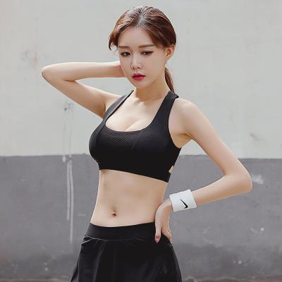 China Dragon Fit Sports Bra QUICK DRY for women aplet padded bra yoga crop top fitness workout top for sale