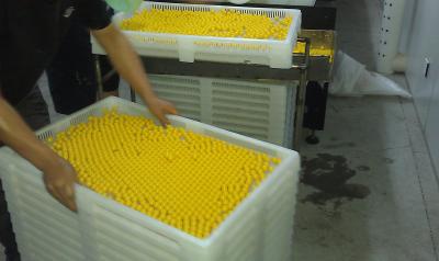 China Categoría alimenticia plástica grande de las bandejas del polímero del propano 780 * 495 * 55m m con el agujero de 4m m en venta