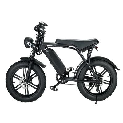 China Aluminum Alloy 2023 NEW Hot Sale 20inch Fat Tire E Bike 48V 750W Motor Electric Bicycle 12AH 15AH Electric Mountain Bike for sale