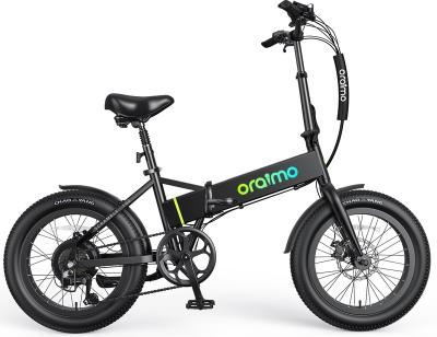 China Aluminum Alloy Electric Bike for Adults 700W Hidden Battery 3A Fast Charge 20