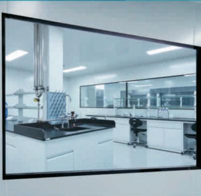 China GMP Factory Direct Supply of Sandwich Panels Clean Doors and Windows for Clean Room Project for sale