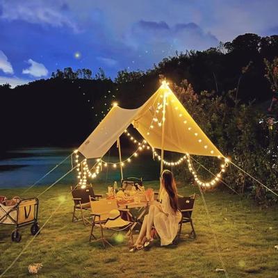 China Modern Simple LED Solar Lanterns Outdoor Waterproof LED Star Lights Gypsophila Christmas Decoration Room RGB Smart Strip Lights for sale