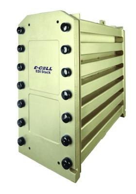 Cina Veolia E-CellTM-3X EDI Module: zero prodotti chimici per la produzione di acqua ultra pura in vendita