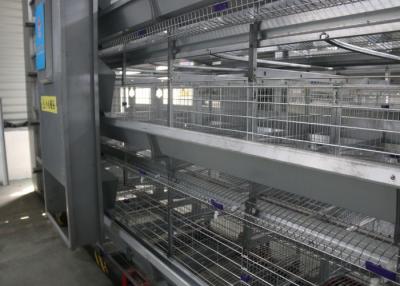 China Sturdy Durable Layer Farming Equipment Cross - Opening Door Design for sale