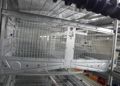 China Breeding 120 Capacity Poultry Cage Equipment ,Poultry Raising Equipment for sale