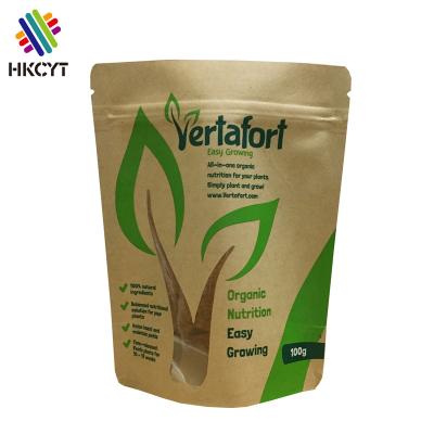 China Recyclable Custom Brown Paper Kraft Bags Ziplock Food Bags With Window for sale