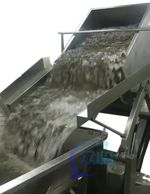 China Practical 2200W Shrimp Processing Machine With Electric Lifting for sale