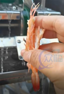 China Hot Sale Prawn Cutting Machine Prawn EBI Cutter Prawn Belly Cutter for sale