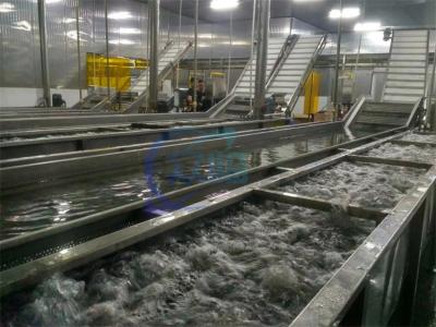 China Automatic Crayfish Fruit And Vegetable Washing Machine Cassava Washing Machine for sale