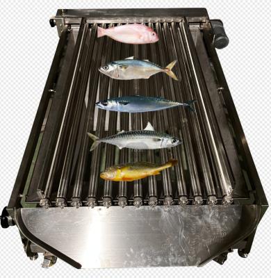 中国 High Quality PLC Control Fish Grading Line For Sorting Small Fish With Automatic 販売のため
