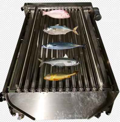 Chine Capacity 5-10T/H Fish Automatic Sorting Machine, Sizing Small Fish And Grading Ocean à vendre