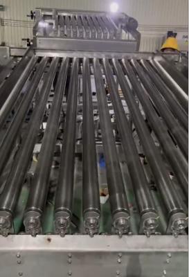 Chine Most Stable Sardine Fish Grading Machine, Sorting Other Small Fish With Large Capacity à vendre