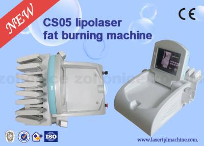 Chine 650nm efficaces Cryolipolysis amincissant la machine pour la formation de corps/peau serrent à vendre