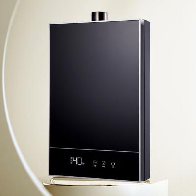 China Outdoor Silent Gas Water Heater Factory Price Instant Electric Shower Heater Good Quality Water Heater for sale