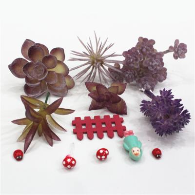 China Plastic Artificial Succulent Plants for sale
