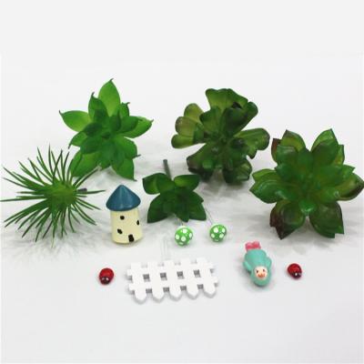 China Mini Plastic Artificial Succulent Plant Supplies for sale