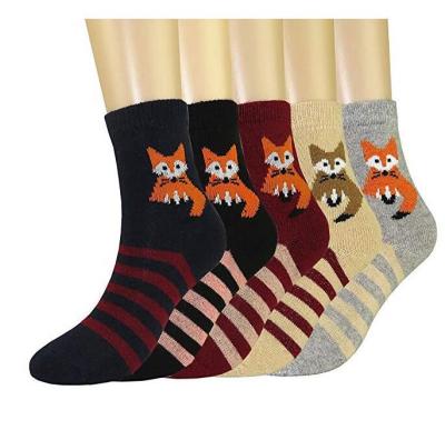 China Sustainable Womens Winter Woolen Crew Casual Thick Warm Thermal Bangs 5 Packs UK 4-7 for sale