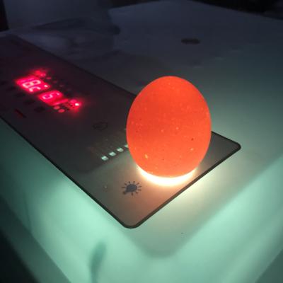 China 120 Egg Hatcher Farms Chicken Egg Incubator Incubator Hatching Machine for sale