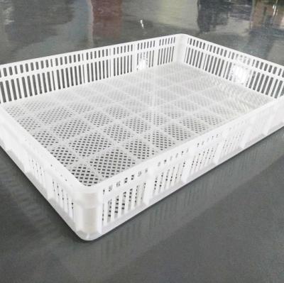 China Best Hatchery Quality Hatcher Basket / Chicken Hatching Basket For Egg Incubator Spare Parts for sale