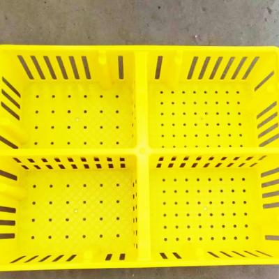 China Cultivate long time use chicks and ducks seedlings plastic basket for sale for sale
