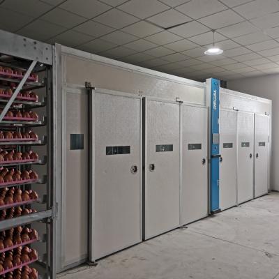 China Popular Majestic Modern Hatchery Hatchery 60480 Single Stage Incubator Eggs For Chicken RGFXTS-60480 One Year Warranty for sale