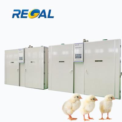 China Automatic hatcher 19200 chicken and egg good price incubator incubator for sale for sale
