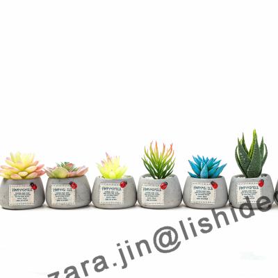 China Good artificial multi-layer succulent plant bonsai flower simulation Artificial Plant Table room decoration with cement pot for sale