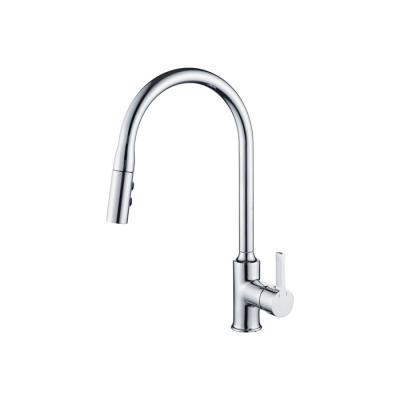 China 2021 Modern Two Way Chrome Brass Pull Out Kitchen Faucet Sink Mixer Taps for sale
