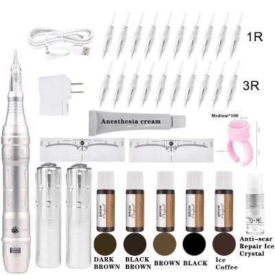 Cina Nuovo kit di tatuaggi per sopracciglia e labbra di alta qualità, kit di penna da tatuaggio professionale con cartuccio, ago permanente, attrezzature per il trucco, adatto per il body art. in vendita